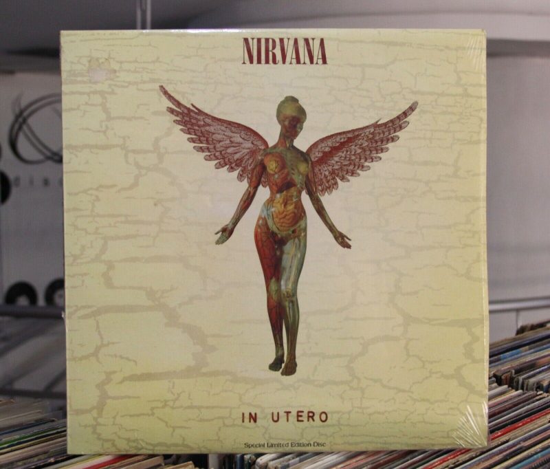 Nirvana Vinyl Record Lps For Sale