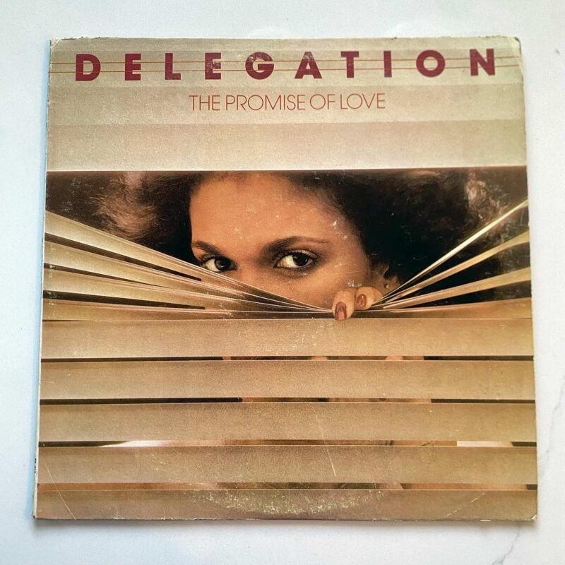Delegation Vinyl Lps For Sale