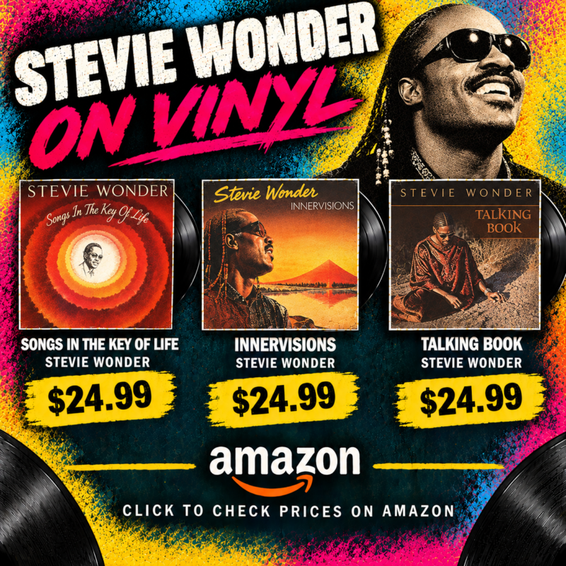 Stevie Wonder Vinyl Collection Poster