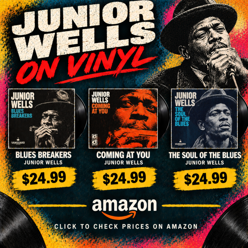 Junior Wells Vinyl Lps For Sale